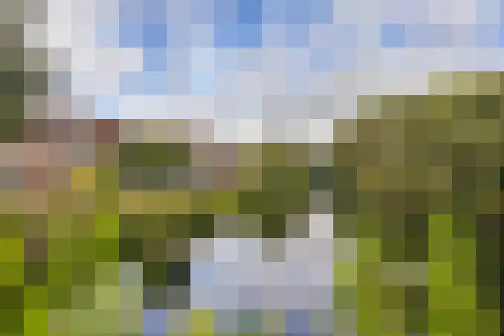 Eems 59 Uithoorn thumbnail 27