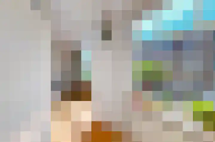 Eemsstraat 29 2 Amsterdam thumbnail 7
