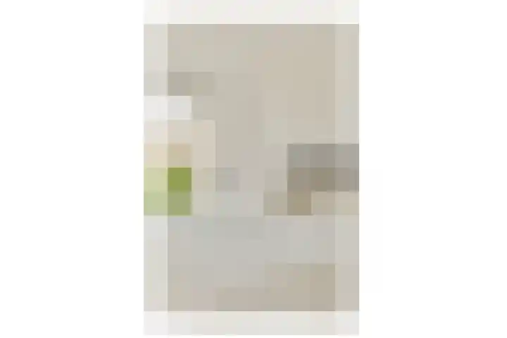 Eemsstraat 53 2 Amsterdam thumbnail 6