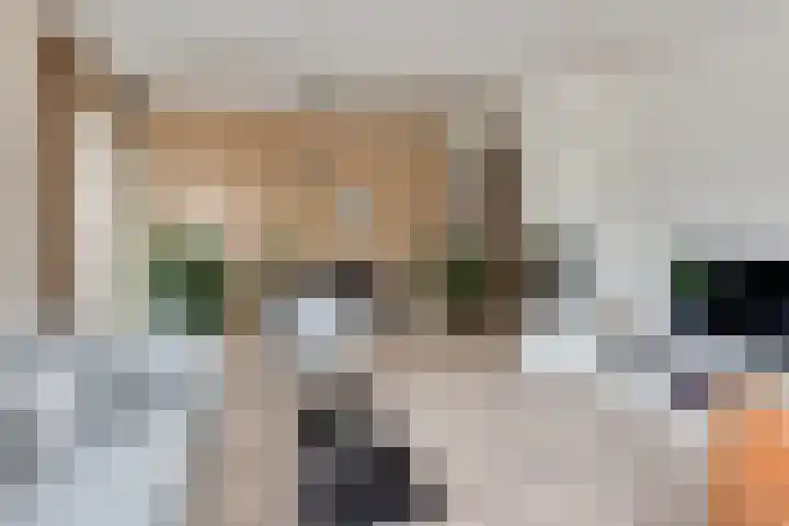Eemstraat 12 Baarn thumbnail 8