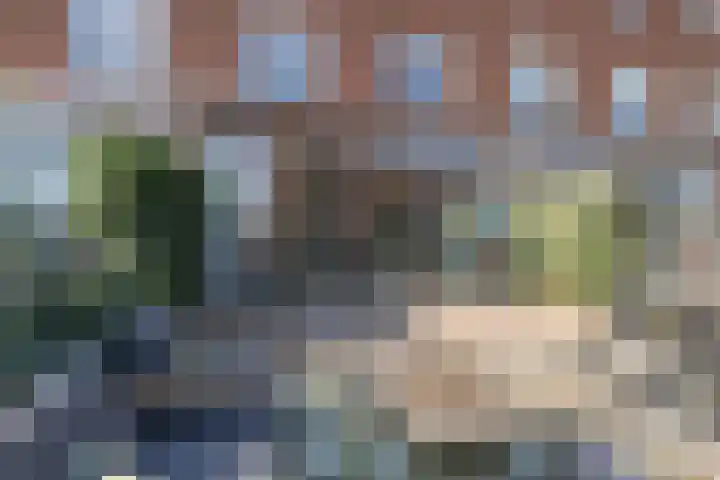 Eemstraat 6 IJsselstein thumbnail 5