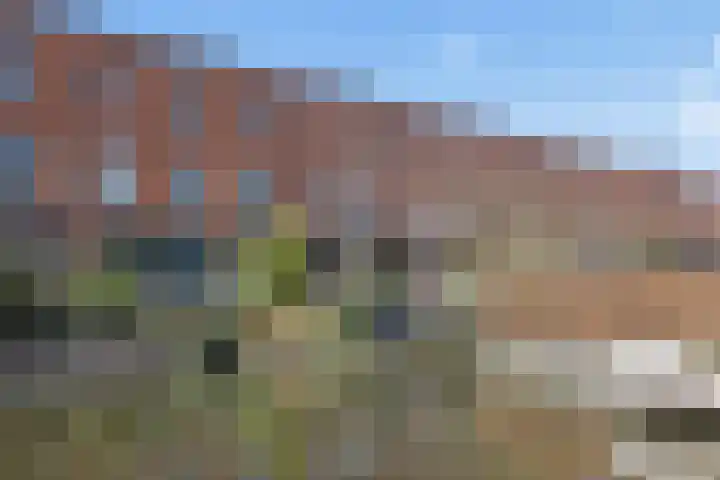 Eemstraat 6 IJsselstein thumbnail 63