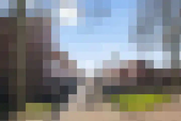Eemstraat 6 IJsselstein thumbnail 8