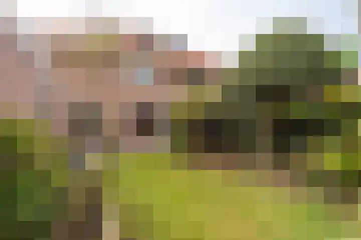 Eemstraat 7 Baarn thumbnail 15