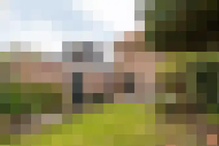 Eemstraat 7 Baarn thumbnail 16