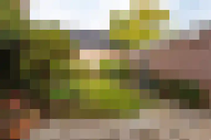Eemstraat 7 Baarn thumbnail 17