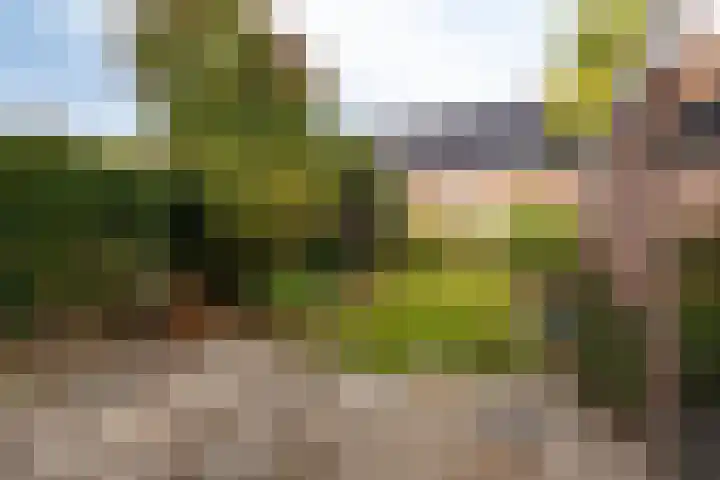 Eemstraat 7 Baarn thumbnail 18