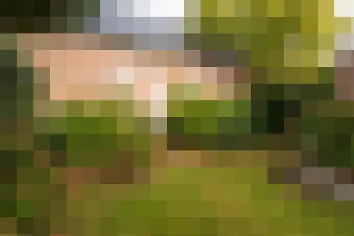 Eemstraat 7 Baarn thumbnail 19