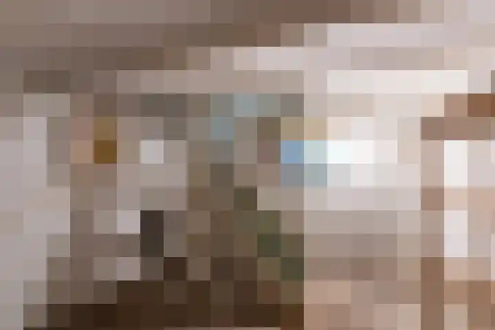 Eemstraat 7 Baarn thumbnail 37