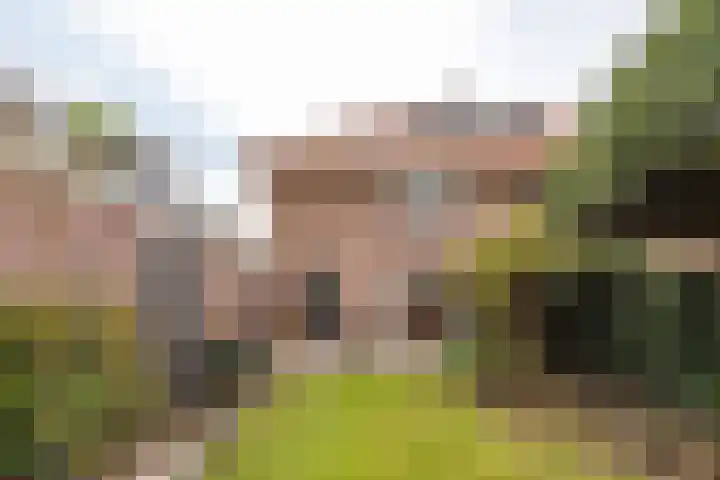Eemstraat 7 Baarn thumbnail 4
