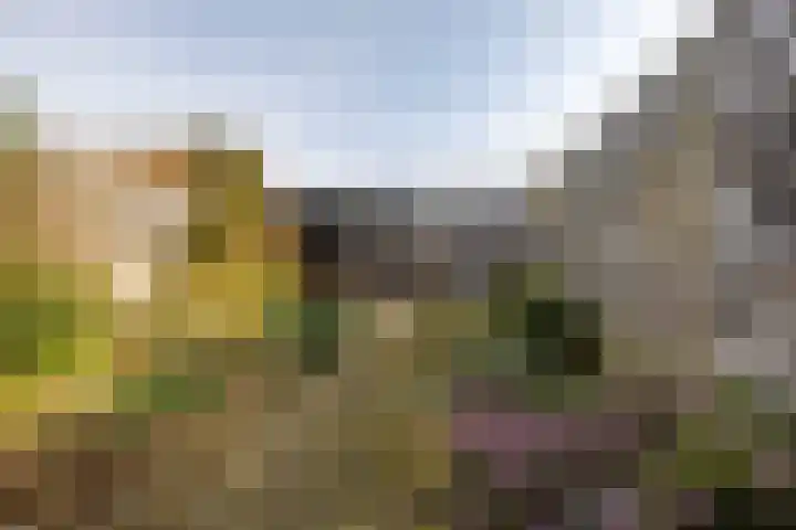 Eemswaard 56 Groningen thumbnail 37