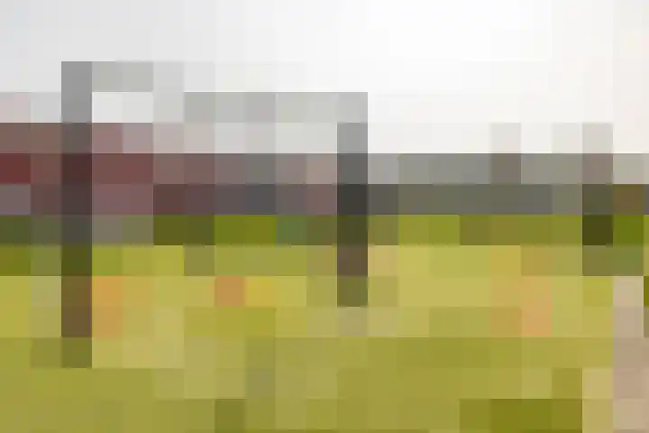 Eemswaard 56 Groningen thumbnail 8