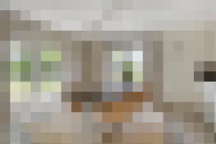 Eemweg 3 Soest thumbnail 10