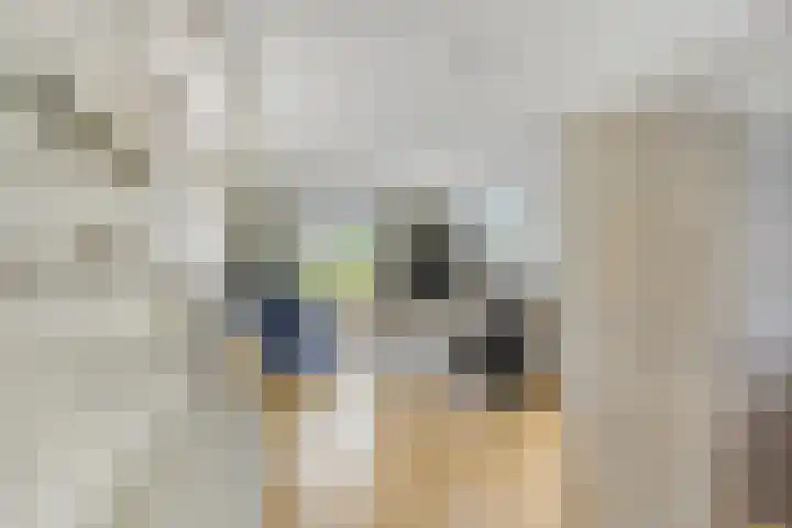 Eemweg 3 Soest thumbnail 15