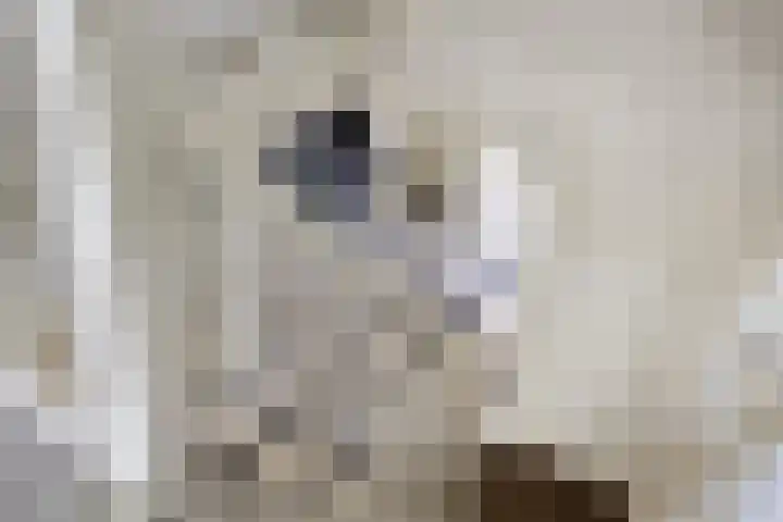 Eemweg 3 Soest thumbnail 18