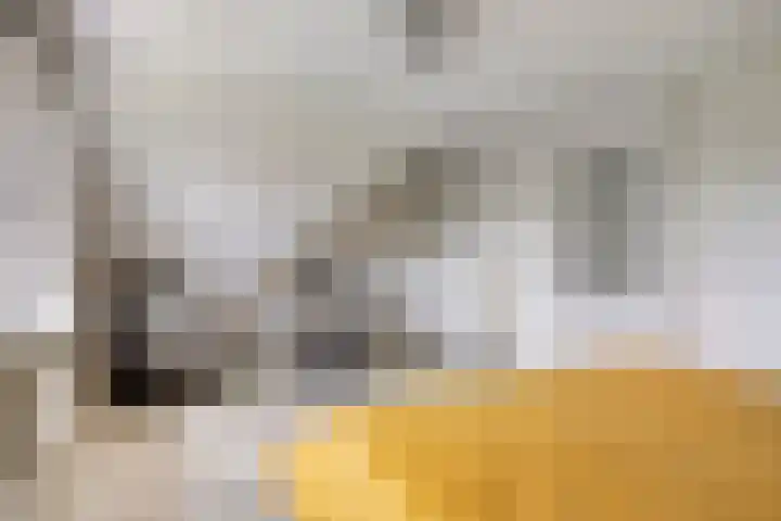 Eemweg 3 Soest thumbnail 27