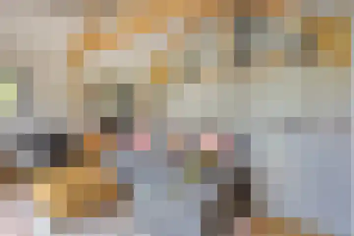 Eemweg 3 Soest thumbnail 36