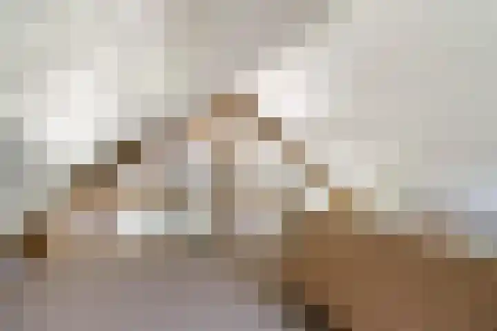 Eemweg 3 Soest thumbnail 40