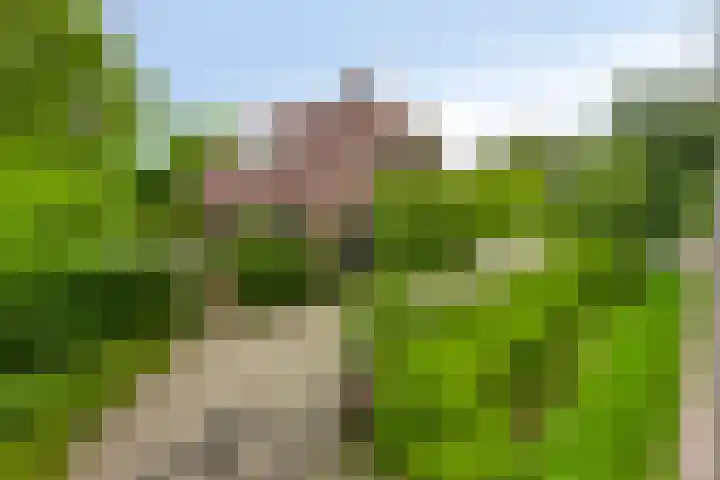 Eemweg 3 Soest thumbnail 43