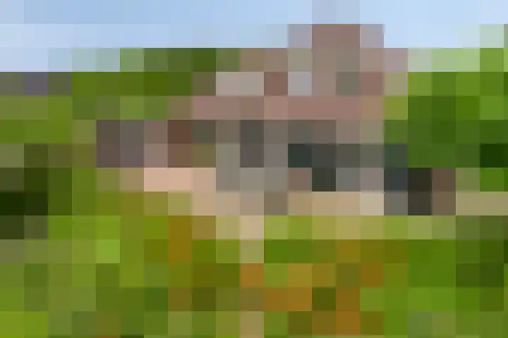 Eemweg 3 Soest thumbnail 45