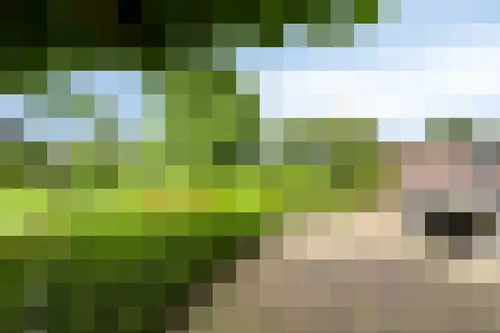 Eemweg 3 Soest thumbnail 46