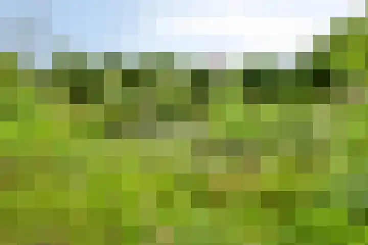 Eemweg 3 Soest thumbnail 49