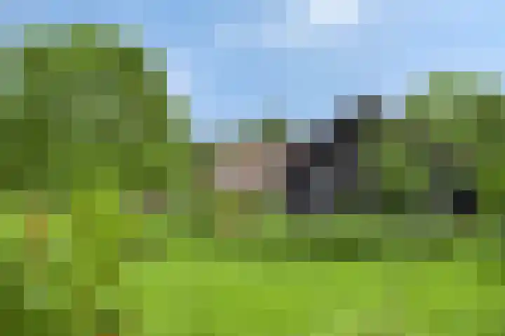 Eemweg 3 Soest thumbnail 52