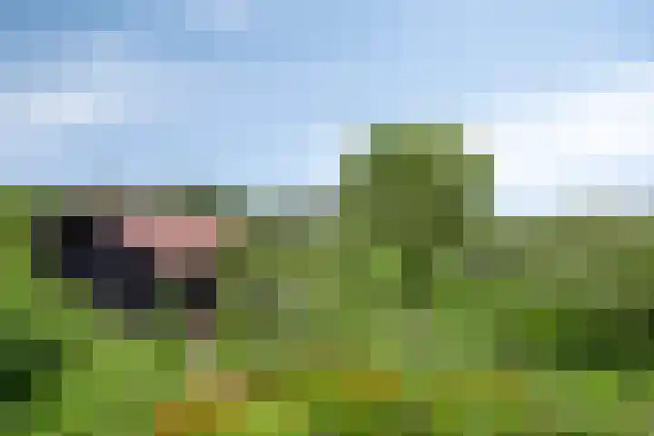 Eemweg 3 Soest thumbnail 53