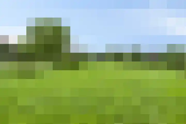 Eemweg 3 Soest thumbnail 54