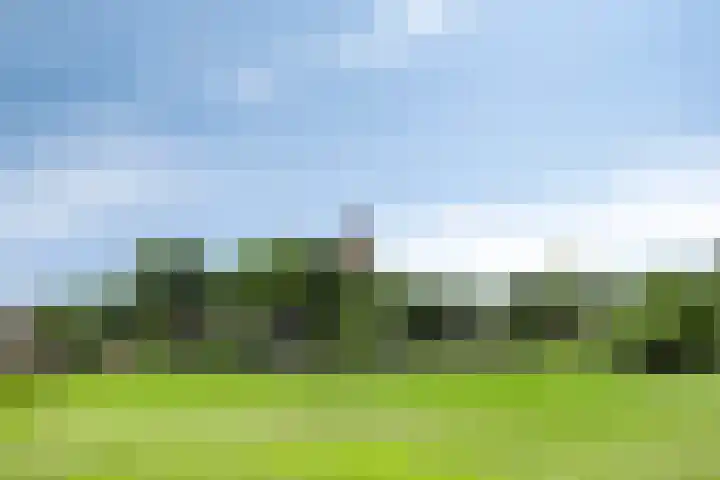 Eemweg 3 Soest thumbnail 56