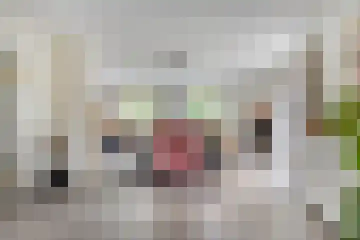 Eemweg 3 Soest thumbnail 7
