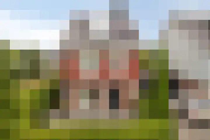 Eendagsbloemlaan 14 dans Vleuten