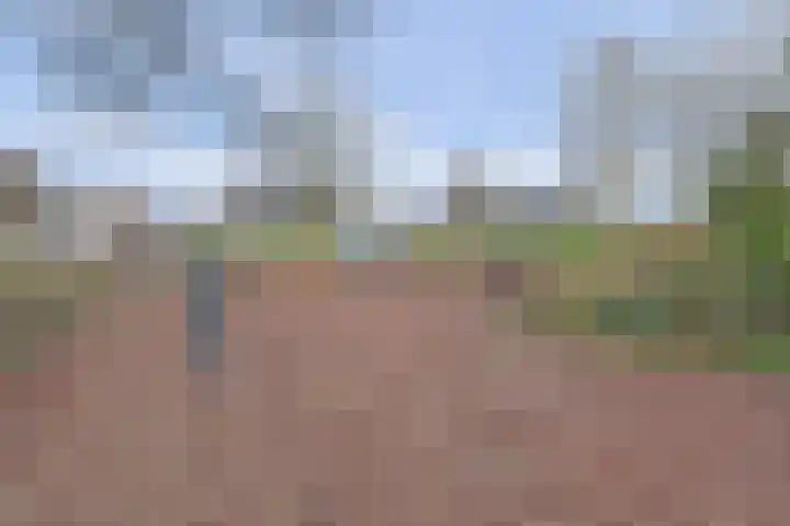 Eendekamp 78 Harderwijk thumbnail 33