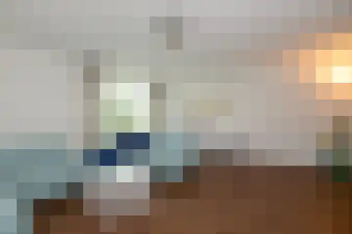 Eendekroos 100 Drachten thumbnail 10