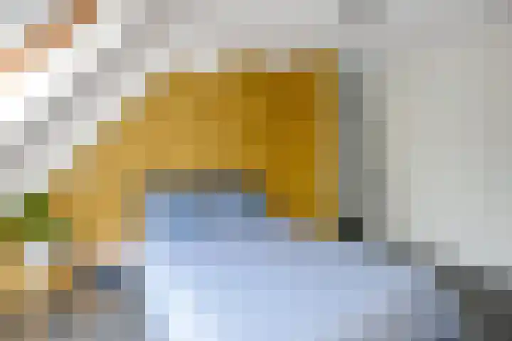 Eendekroos 100 Drachten thumbnail 39