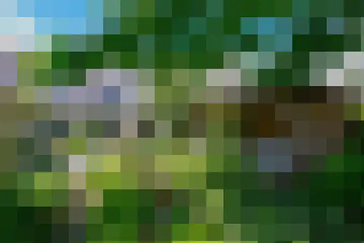Eendekroos 100 Drachten thumbnail 57