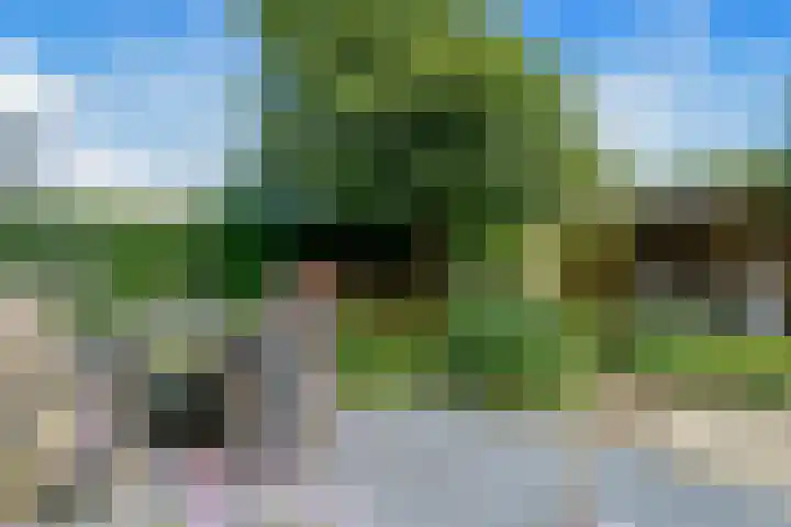 Eendekroos 100 Drachten thumbnail 59