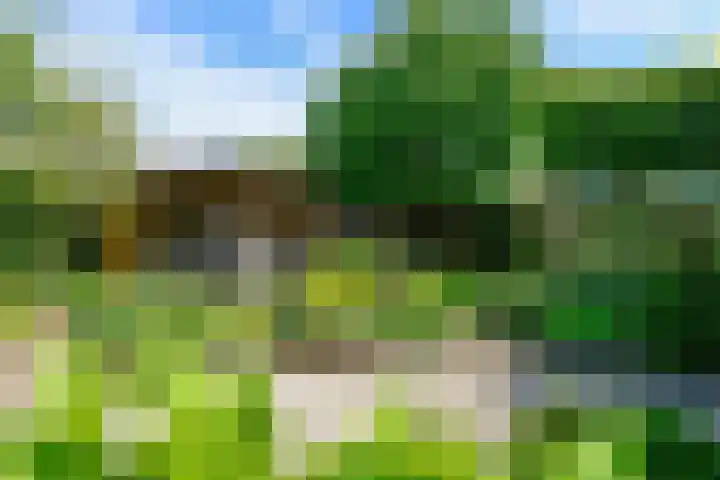 Eendekroos 100 Drachten thumbnail 60