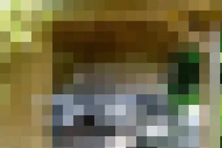 Eendekroos 100 Drachten thumbnail 61