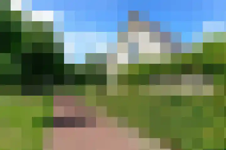 Eendekroos 100 Drachten thumbnail 64