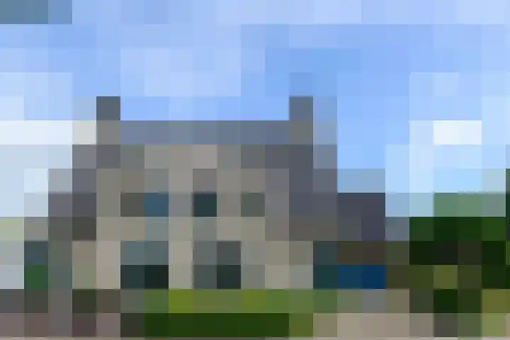 Eendekroos 100 Drachten thumbnail 67