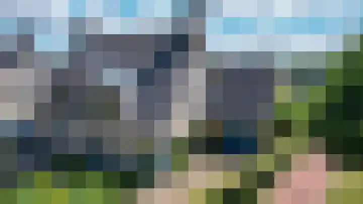 Eendekroos 100 Drachten thumbnail 69