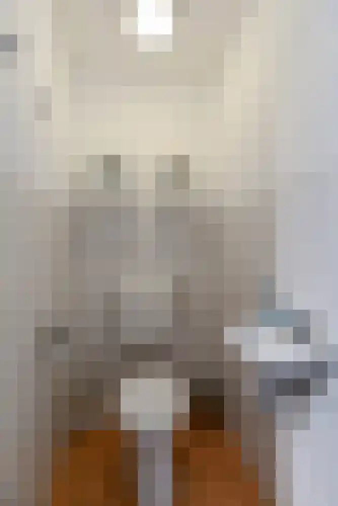 Eendekroos 100 Drachten thumbnail 7