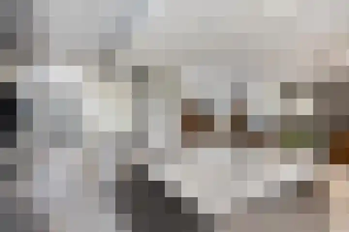 Eendenbrink 39 Den Haag thumbnail 16