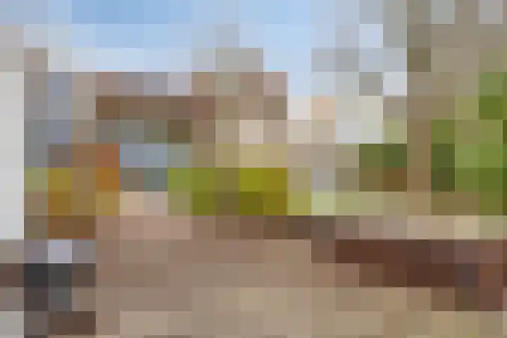 Eendenbrink 39 Den Haag thumbnail 59