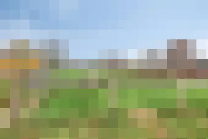 Eendenbrink 39 Den Haag thumbnail 69