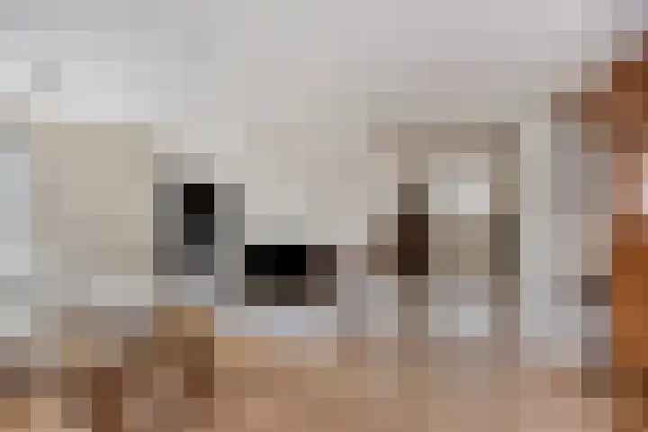 Eendenbrink 39 Den Haag thumbnail 9