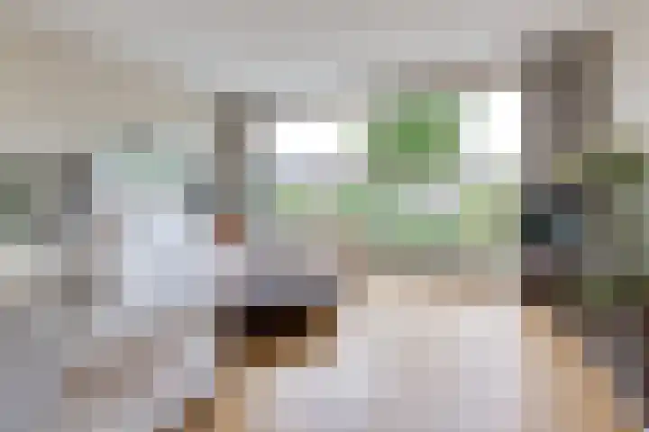 Eendendreef 14 Bleiswijk thumbnail 17