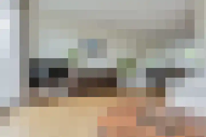 Eendendreef 14 Bleiswijk thumbnail 18