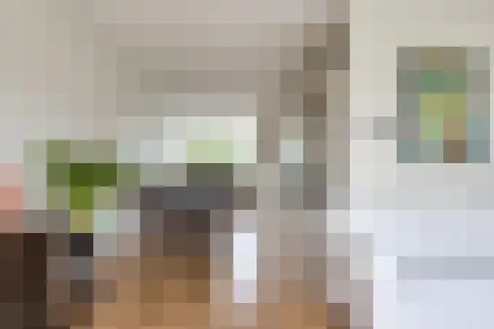 Eendendreef 14 Bleiswijk thumbnail 20
